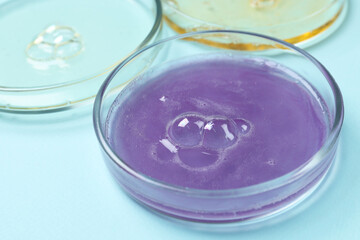 Petri dishes with samples on light blue background, closeup