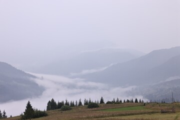 Picturesque view of beautiful mountains covered with fog