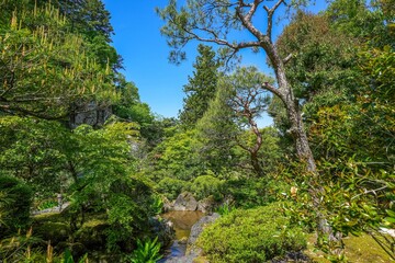 青空バックに見る新緑に包まれた日本庭園の情景