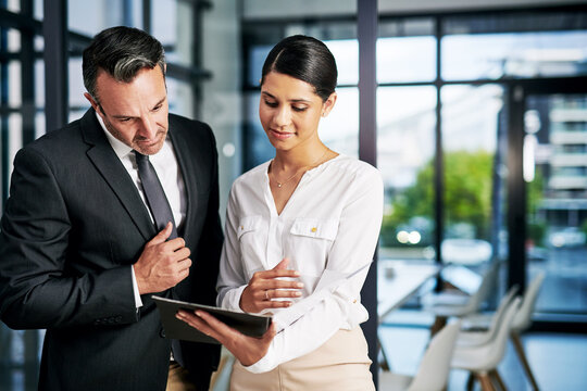 Businessman, personal assistant or folder with documents in office for project, company or progress report. Organize, paperwork and secretary with file for administration, manager or deadline date