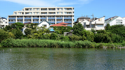 小池公園　東京都大田区