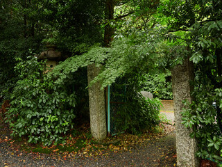 夏の雨の日のお寺の入り口の風景