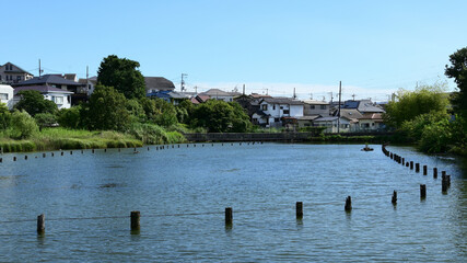 小池公園　東京都大田区