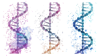 DNA structure isolated on white background