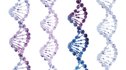 DNA structure isolated on white background