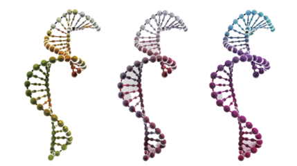 DNA structure isolated on white background