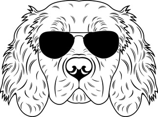 Obraz premium Picardy Spaniel In Sunglasses
