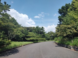 東京の庭園(24.8.21)