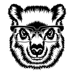 Obraz premium Rock Hyrax In Glasses