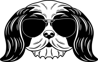 Shih Tzu In Sunglasses