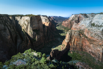 Enjoy the view at Observation Point in summer, one of the most beautiful Zion canyon view in Zion National Park.