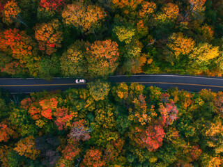 Car Drives on Beautiful Forest Road Aerial Birds Eye View Drone Show in New England in Autumn. Fall Foliage Colorful Scenic Drives Tourism Vacation