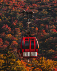 Autumn Stowe Vermont Gondola Sky Ride Mt. Mansfield Fall Foliage Red Cable Car Transportation Ski Lift Close Up Against Mountain Forest of Trees
