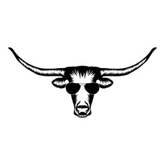 Texas Longhorn In Sunglasses