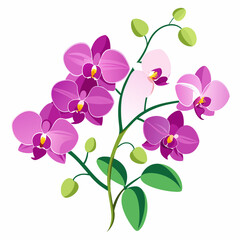 Orchid flowers with branch vector illustration