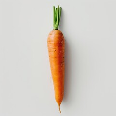 A single carrot on a stalk with green leaf attached.