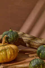 Pumpkin product advertisement from front angle shot on brown background. Some green and ripe...