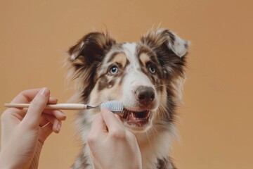 A person gently brushes a dog's teeth with a toothbrush, promoting good oral health and hygiene