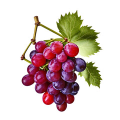 Fototapeta premium bunch of red grapes