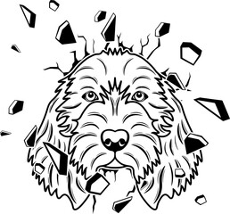 Wall Smashing Petit Basset Griffon Vendeen