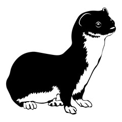 Weasel