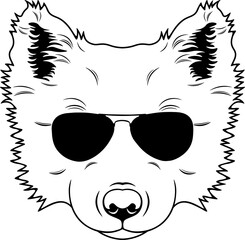 Yakutian Laika In Sunglasses