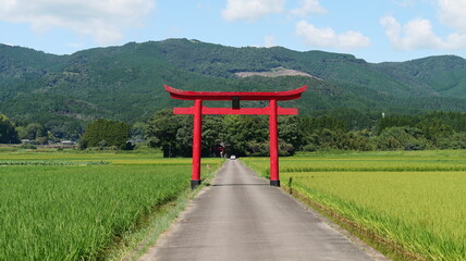 Fototapete bei efototapeten.de bestellen   