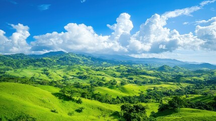 Fototapeta premium Rolling Green Hills and Lush Foliage Under a Blue Sky with Fluffy Clouds