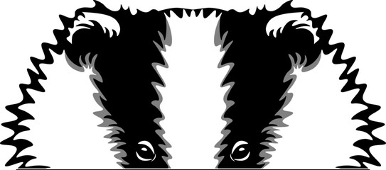 Badger Face Peeking Color © VektorzDesign