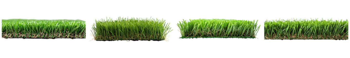 Close-Up Shots of Lush Green Grass in Different Stages of Growth