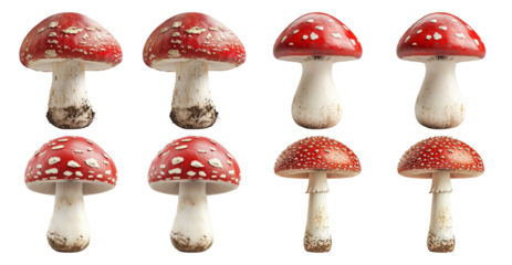 Eight Red and White Spotted Mushrooms Isolated on Black