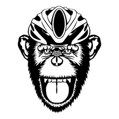 Fototapeta premium Chimpanzee Laughing In Bike Helmet
