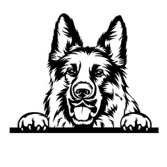 Fototapeta premium German Dog Peeking | Peeking Dog | Dog Breed | Canine Pet | Service Dog | German Dog | Domestic Animal | Curios Dog | Original Illustration | Vector and Clipart | Cutfile and Stencil