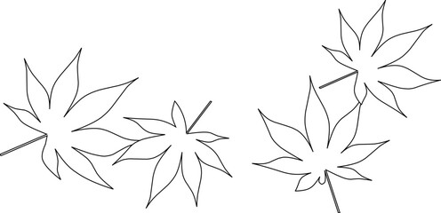 Maple leaves(line drawing)