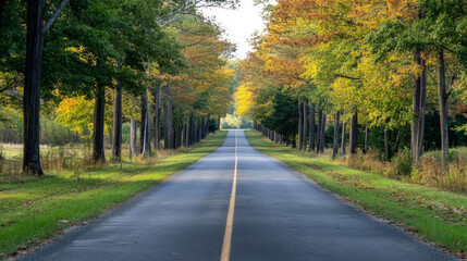 Fototapeta premium An empty straight road with trees on both sides