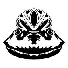 Frog In Bike Helmet