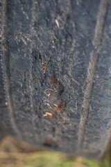 A tire with a black and brown surface.
