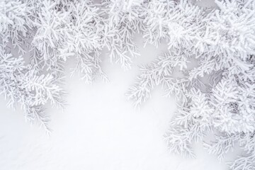 Snowy Fir Branches Winter Background.