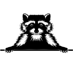 Peeking Raccoon © VektorzDesign
