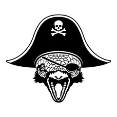 Pirate Armadillo