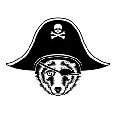 Pirate Coyote