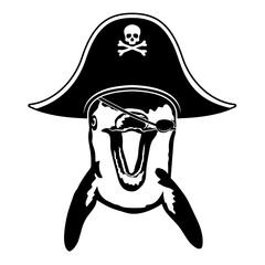 Pirate Dolphin