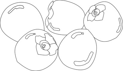 Persimmons(line drawing)