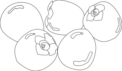 Persimmons(line drawing)