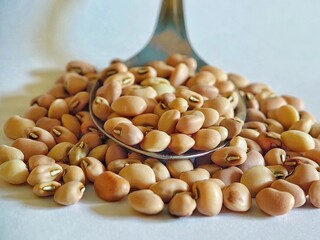 a spoonful of white beans on an isolated white background