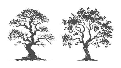 Bonsai black tree silhouette, isolated on white background.  Forest tree with leaves vector logo.