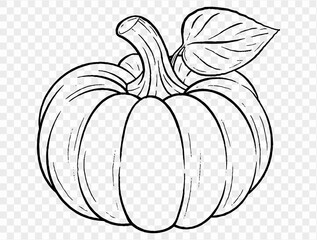 Outline pumpkin hand draw with brush style isolated on png or transparent texture,Halloween party background ,element template for poster, brochures, online advertising, vector illustration