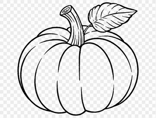 Outline pumpkin hand draw with brush style isolated on png or transparent texture,Halloween party background ,element template for poster, brochures, online advertising, vector illustration