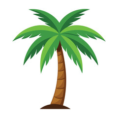 Illustration of Palm tree Isolated on white