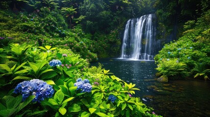waterfall in the forest